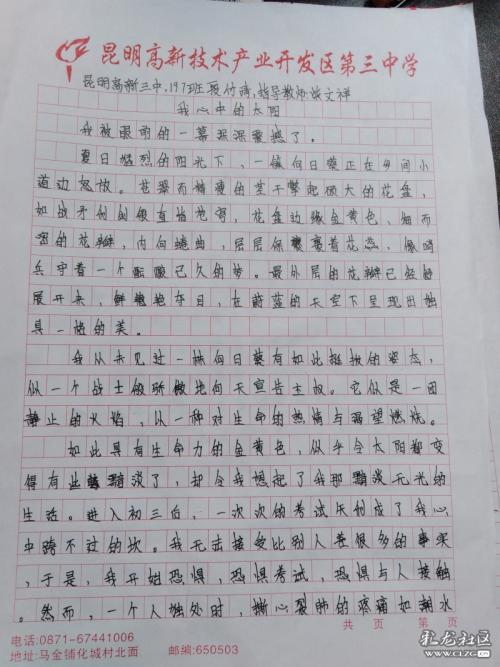 太阳在心脏组成