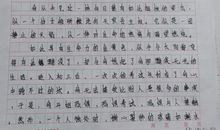 心中的太阳作文