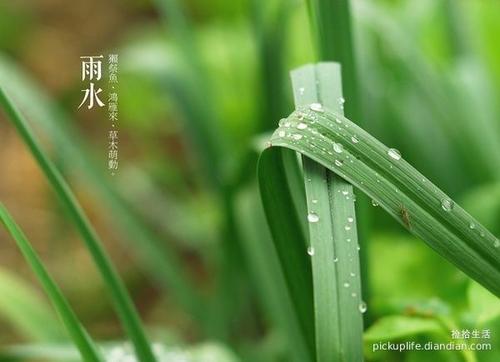 春雨