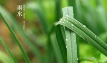 春雨惊春清谷天