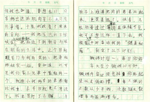 我的第二本家庭学校论文500字
