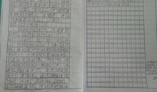 美丽的夏夜作文350字