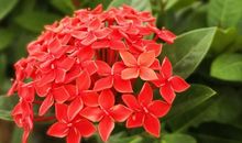 岁月静好温柔相伴