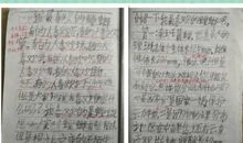 介绍一种传统艺术作文