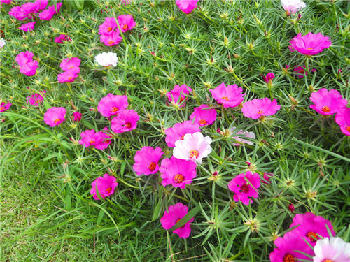 我四个季节看太阳