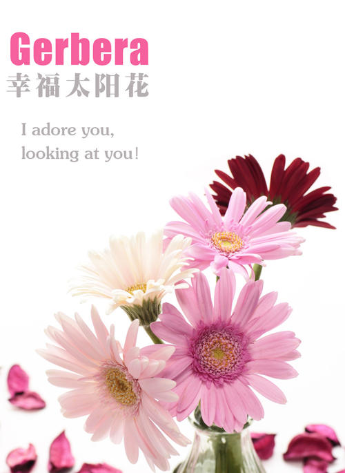 快乐向日葵