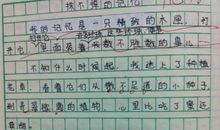 生活因什么而精彩作文600字