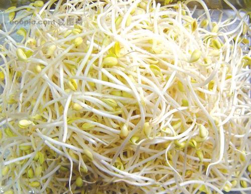 选择豆芽