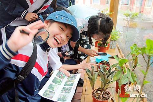 学习旅行