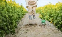 先看自己，在看世界