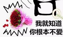 爱我就让我承担