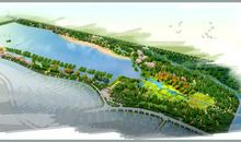 游凤凰湿地公园