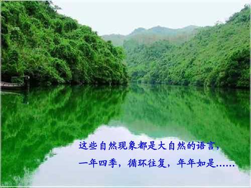 语言就像四个季节