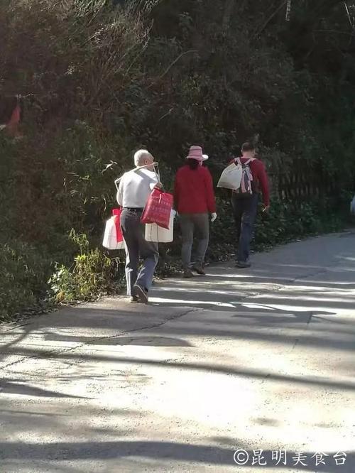 爷爷带我去爬山
