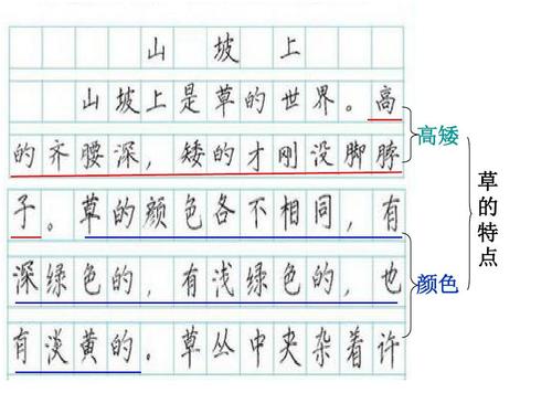 这是三年级的真正美丽的作文