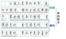 这儿真美作文3年级作文