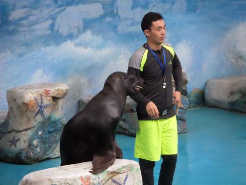 参观上海野生动物园