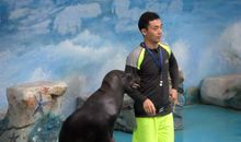 参观上海野生动物园