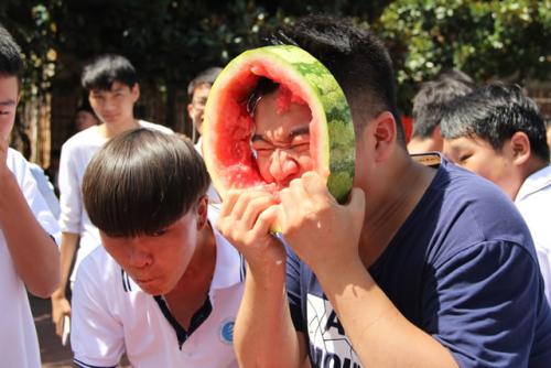 西瓜大赛