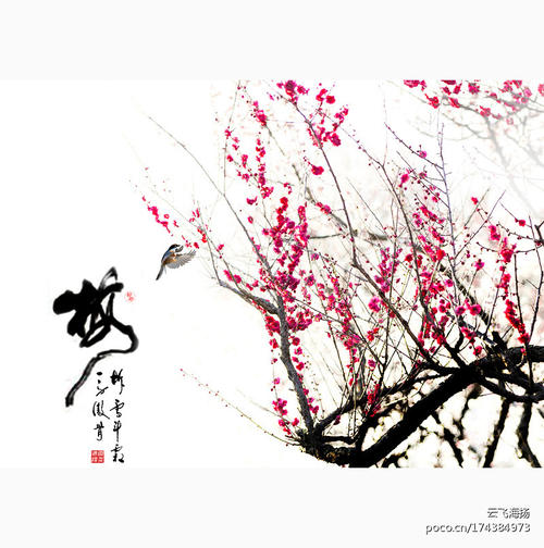梅花颂