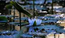 微光中，我看见坚强