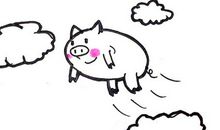 我多了一份坚持