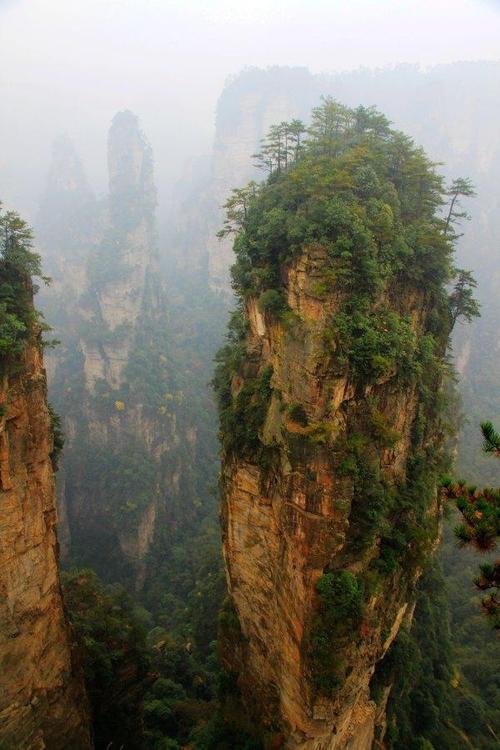 一次难忘的张家界之旅