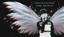 我真想要一双翅膀