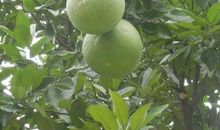 湘江水深天下清