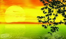 做个自带“阳光”的人