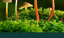 取得高分真的不容易