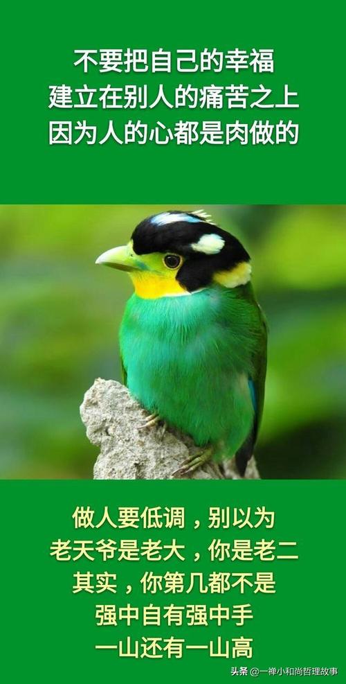 继续阅读