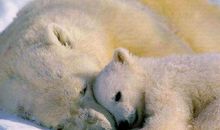 感动，不仅是母爱