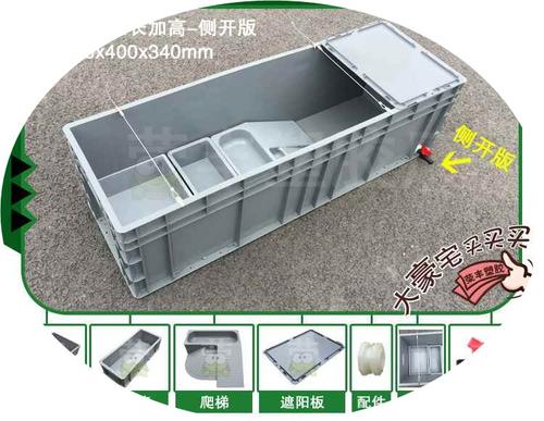 乌龟