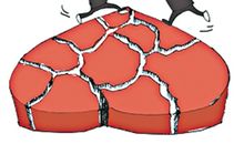 没有血液的亲情