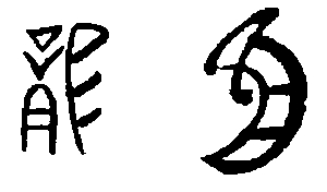 我们周围的龙文化