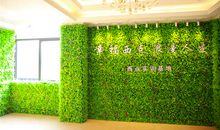 焕然一新的学校