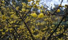 淅淅沥沥雨中情