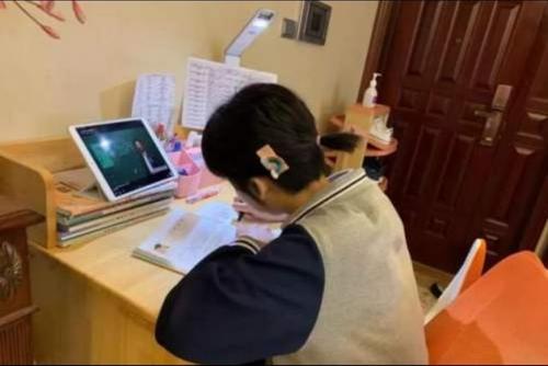 在家上网上课