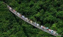 游玩森林“公园”