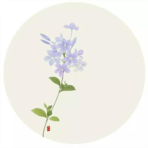 等待花空