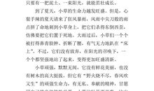 借物写人的作文