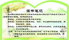 《天使在身边》读书笔记_2000字