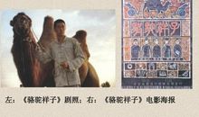 骆驼祥子我想对你说