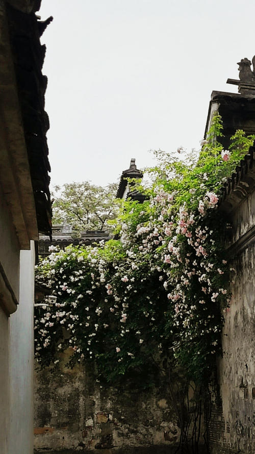 莫乡