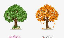 感谢那棵陪伴我成长的树