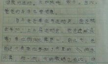 我的假日生活作文800字