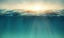 乘风破浪会有时