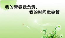 我的青春调味品