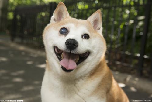 永远笑